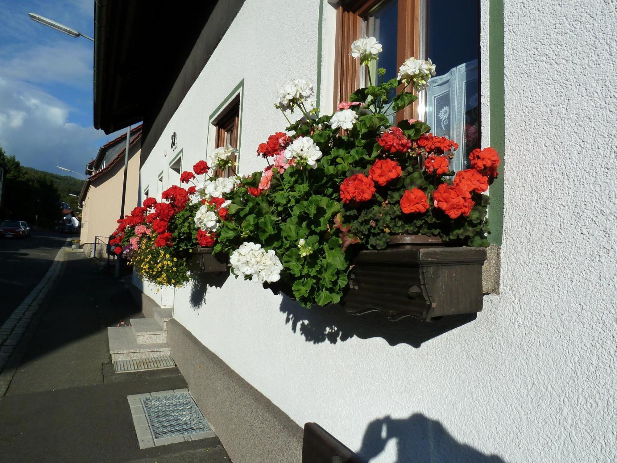 Lina'S Rhoen Bad Brückenau Exterior foto